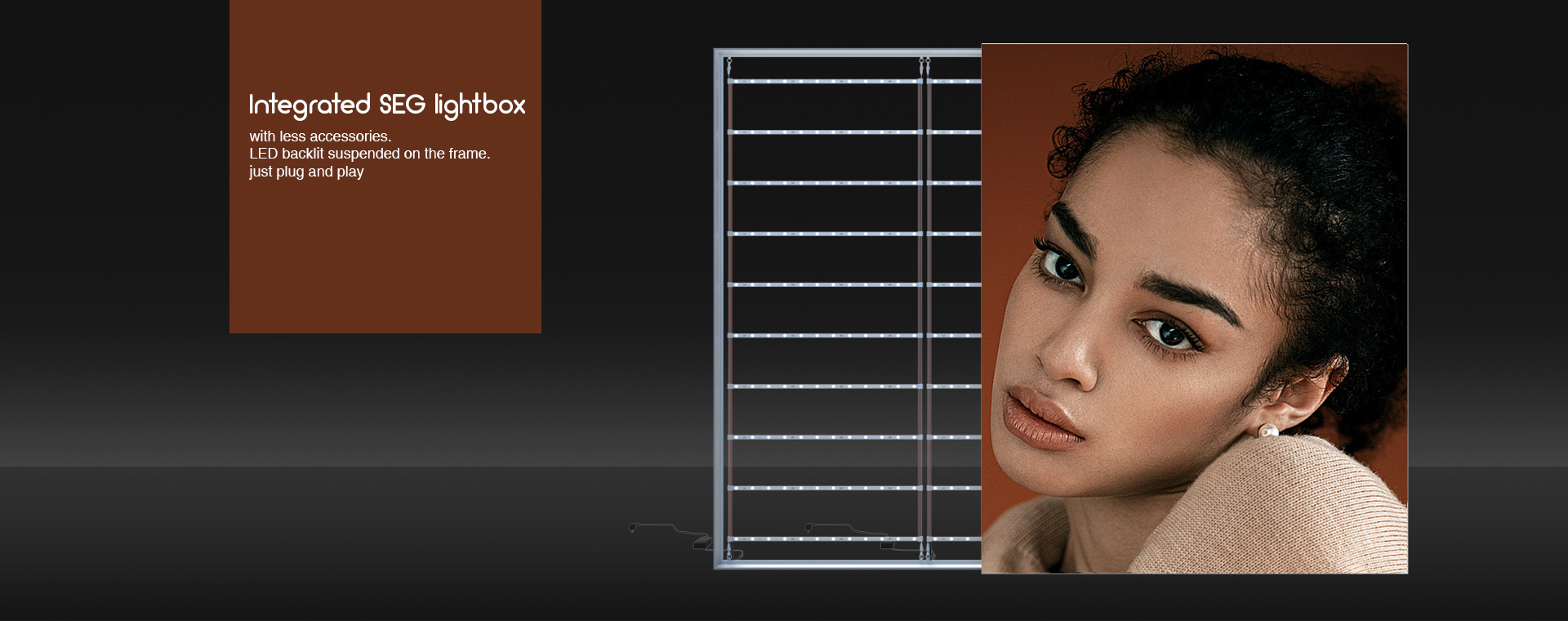 integrated seg lightbox